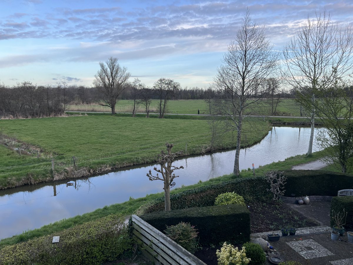 Warner Bruins Slot tweet media