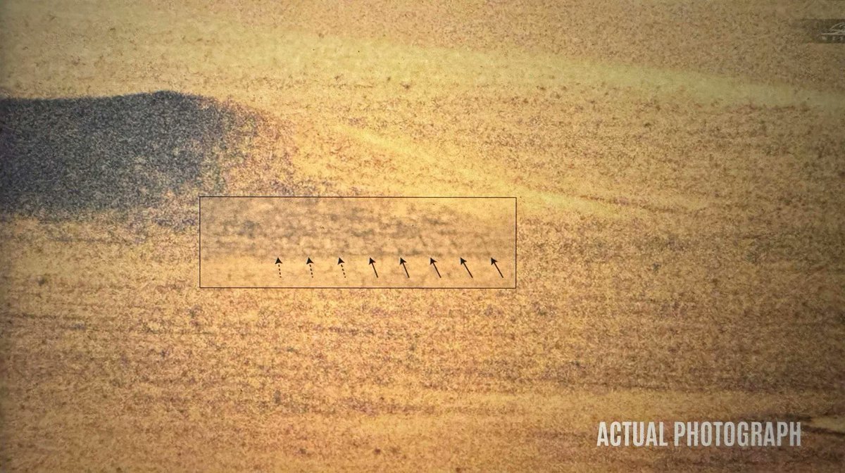 T R U T H P O L E tweet media