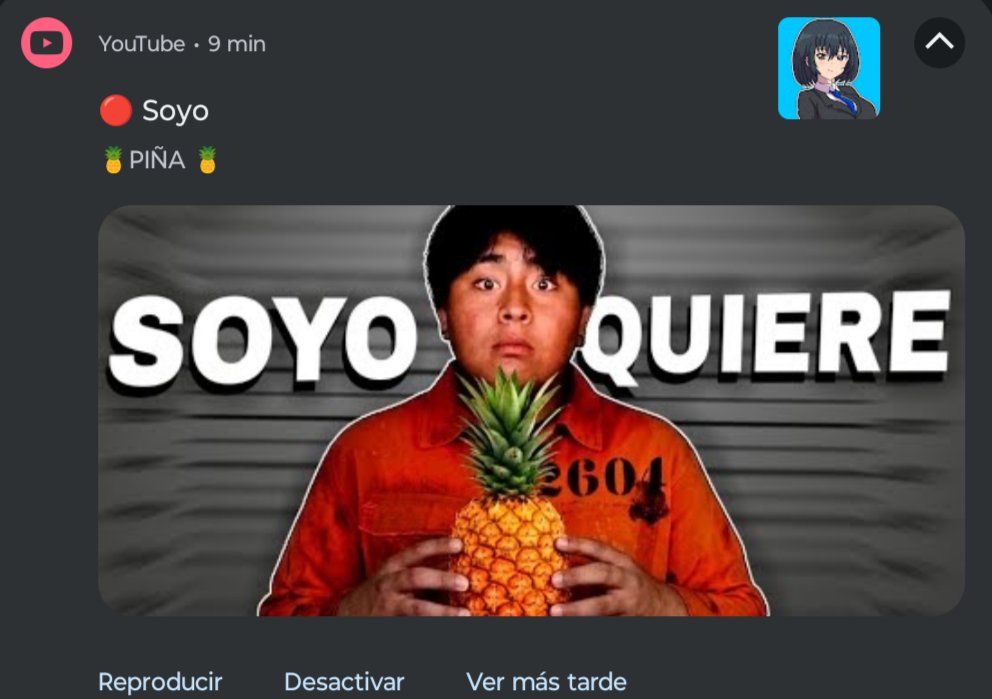 User Hache 🌱 tweet media