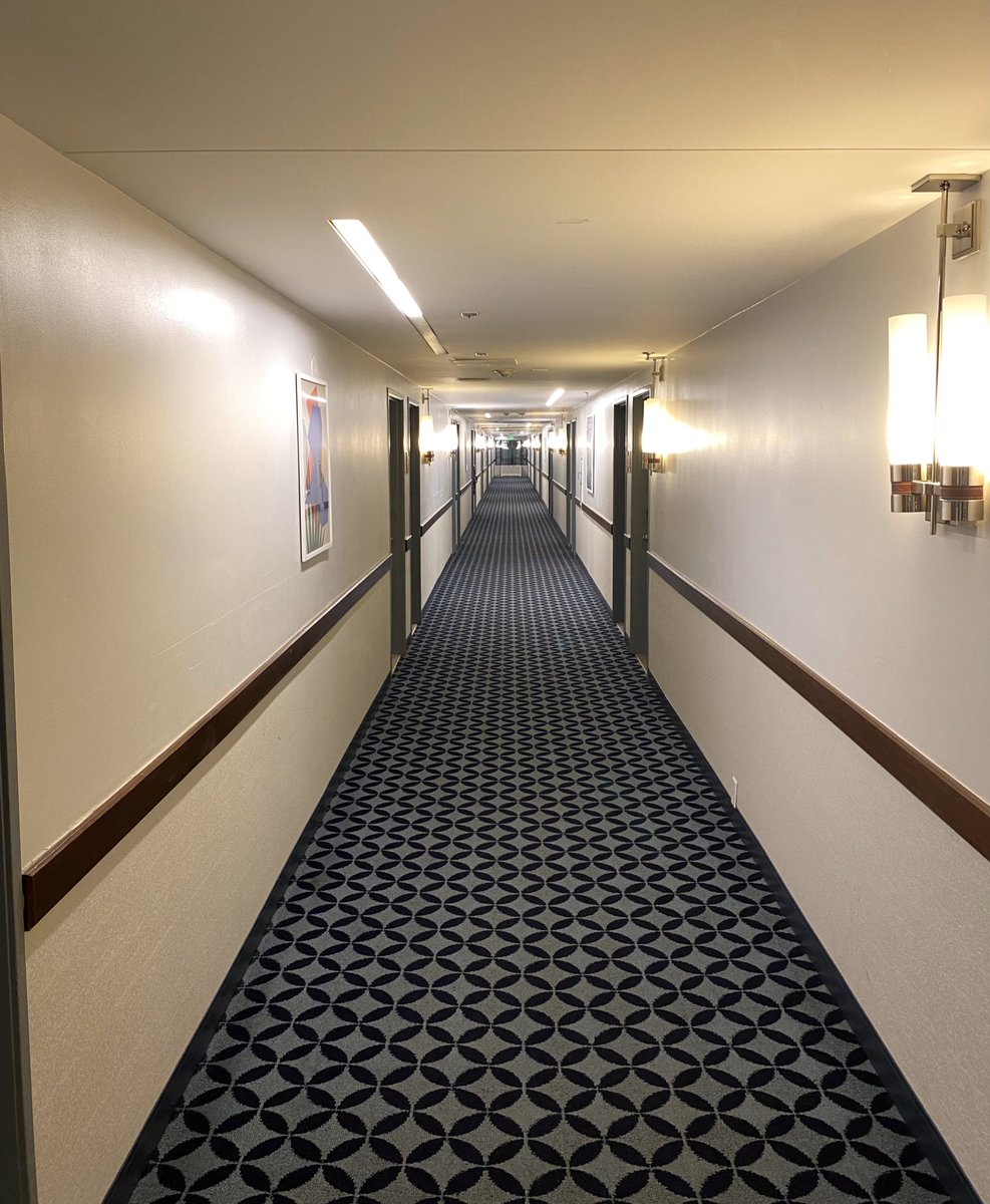 JRXMax's tweet photo. Stayed at a hotel with a hallway that reminded me of “Liminal Spaces”… https://t.co/jvlTaI9cTd