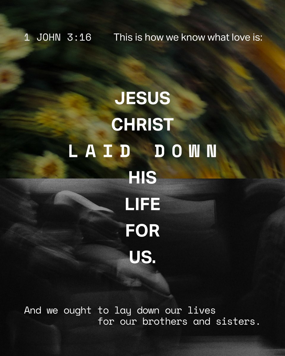 YouVersion Bible App tweet media