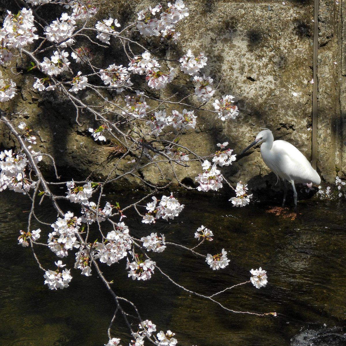るもちゃん🌈とヒロ tweet media