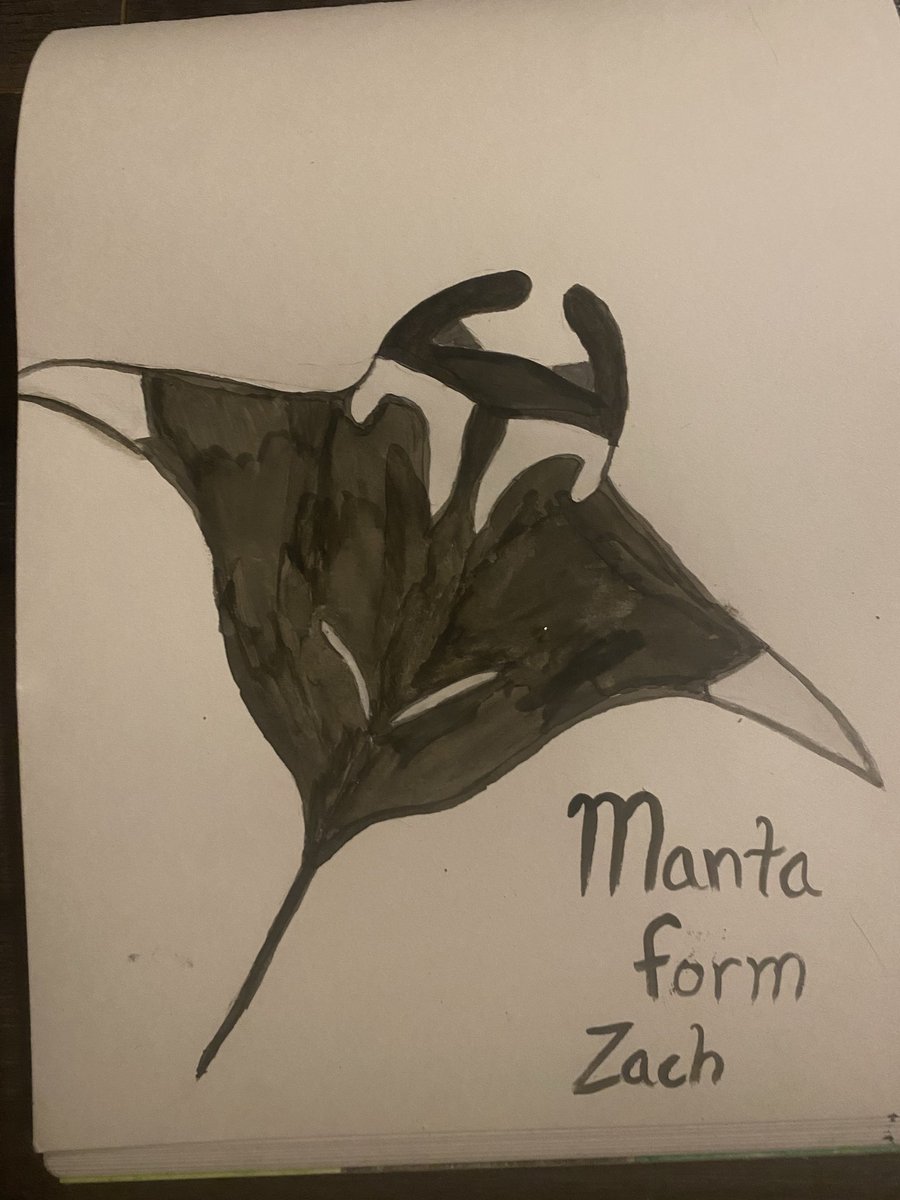 Irys Goldenwing tweet media