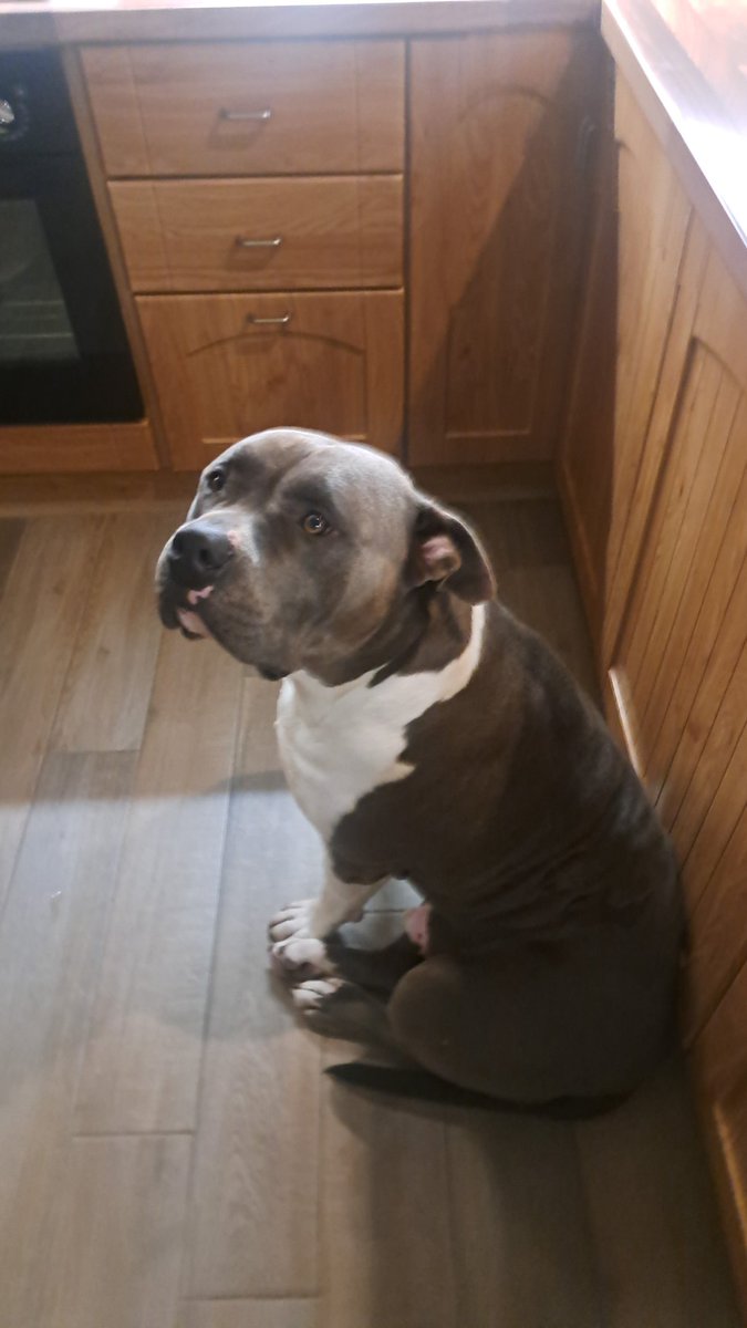 Leeroy ⚓️⛵️ tweet media