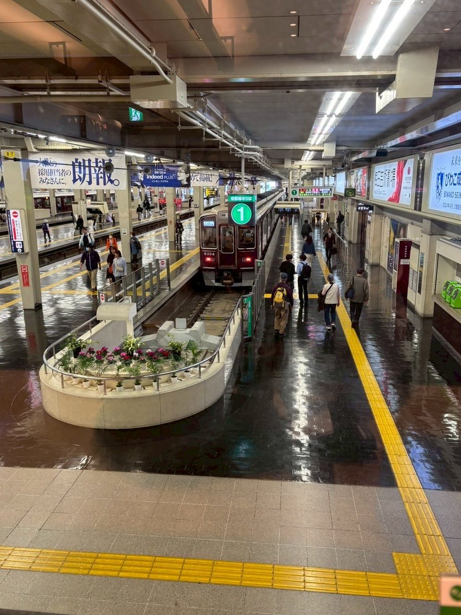 関西ぱーり tweet media