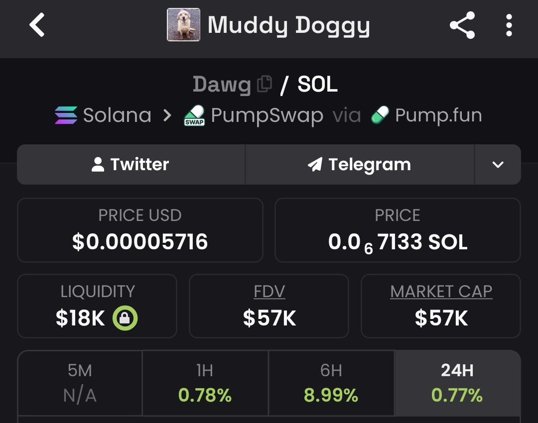 Sol chef tweet media