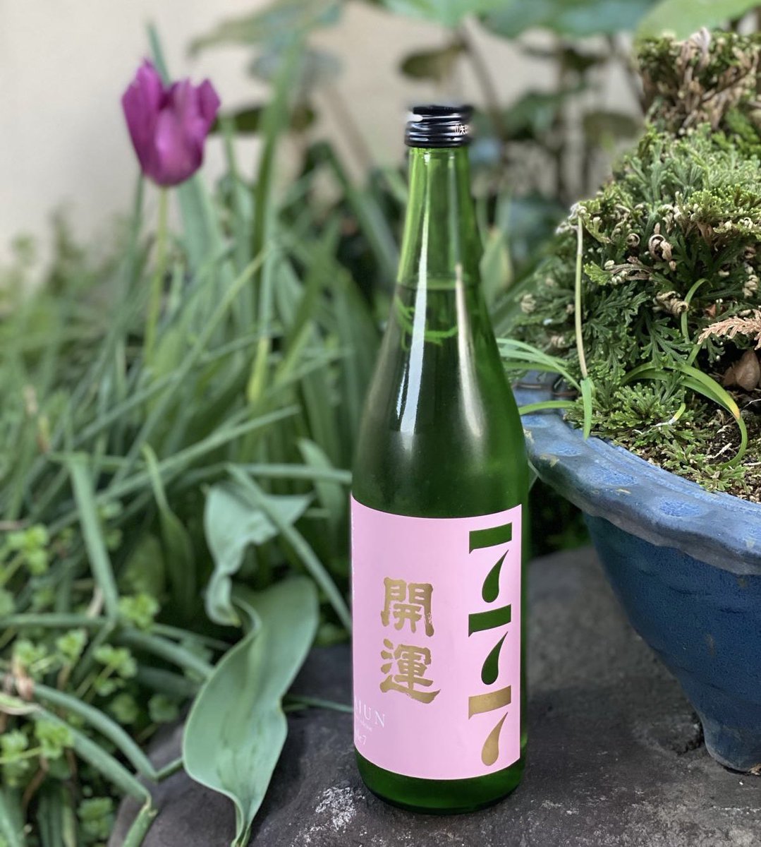 大人のサークル tweet media