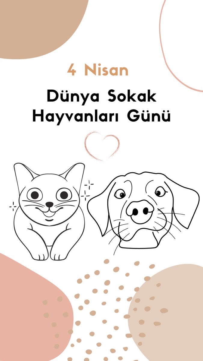 #4nisandünyasokakhayvanlarıgünü