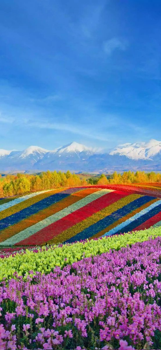 Rajendra M. Kapoor tweet media