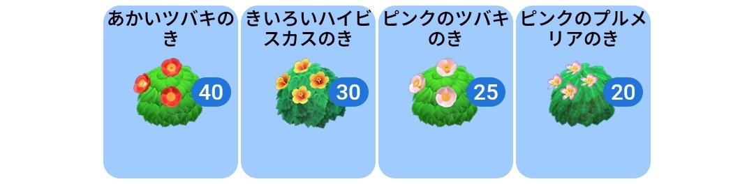 ひー🐕 tweet media