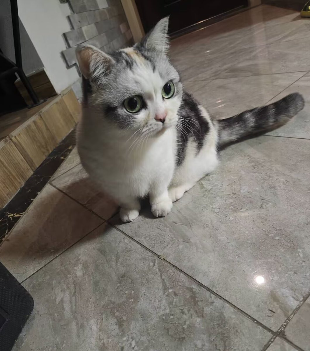 douya1031 tweet media