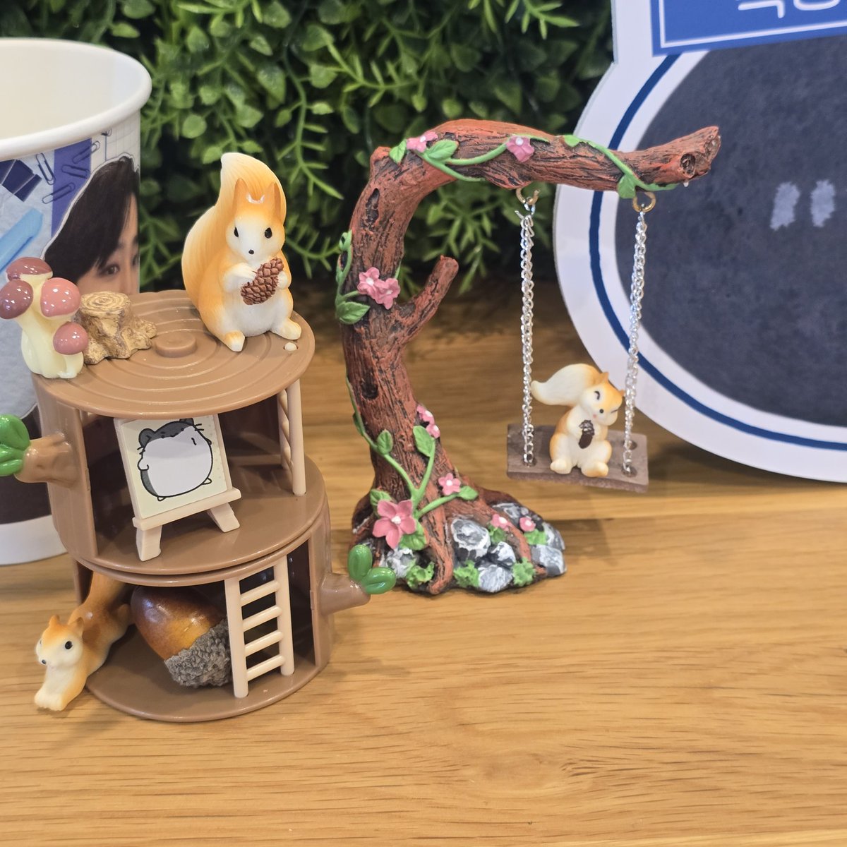 나는야뚱이 tweet media