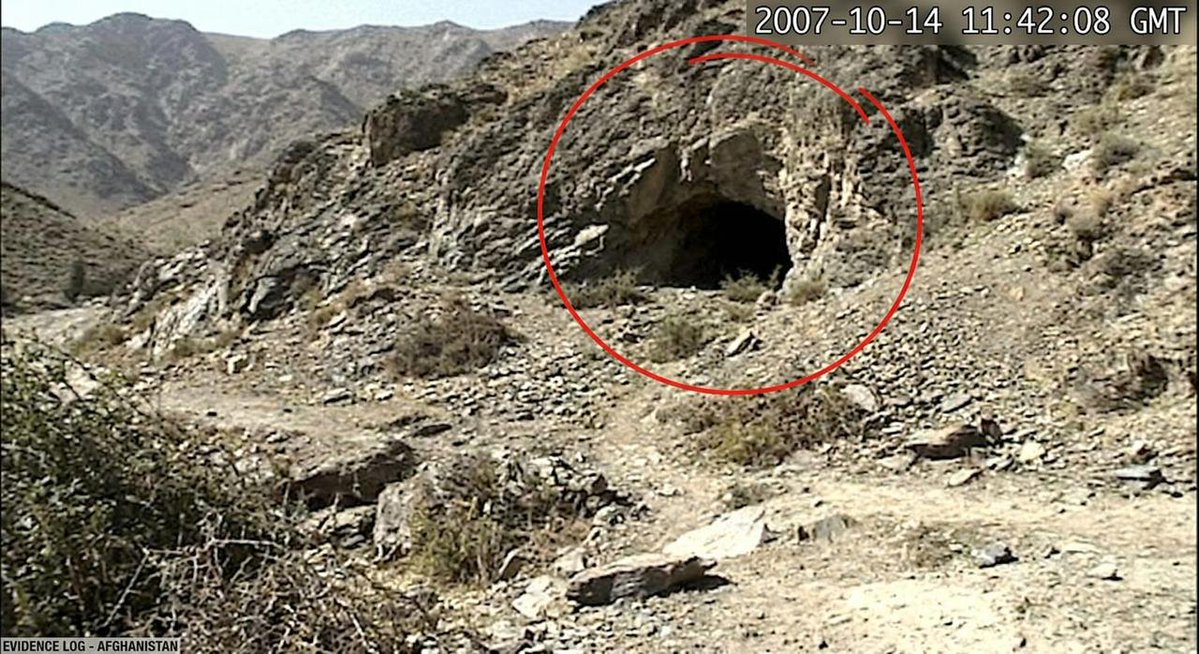 Damon Hart 🦅 tweet media