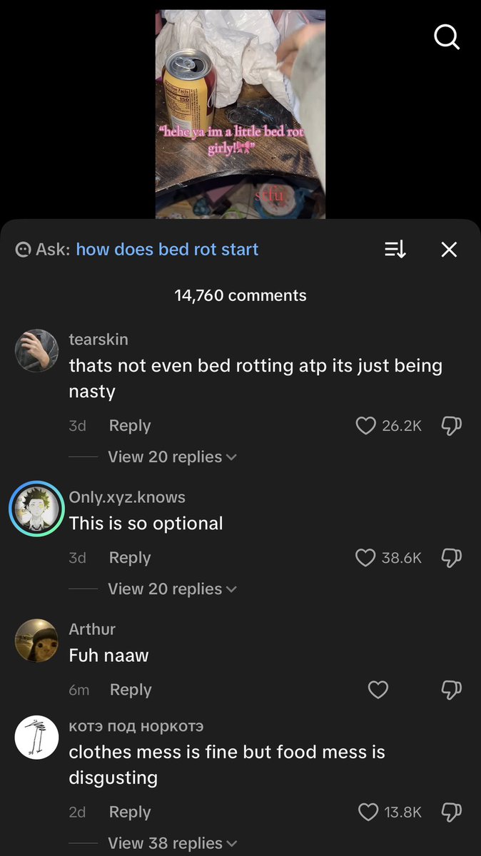 🪽Violet tweet media