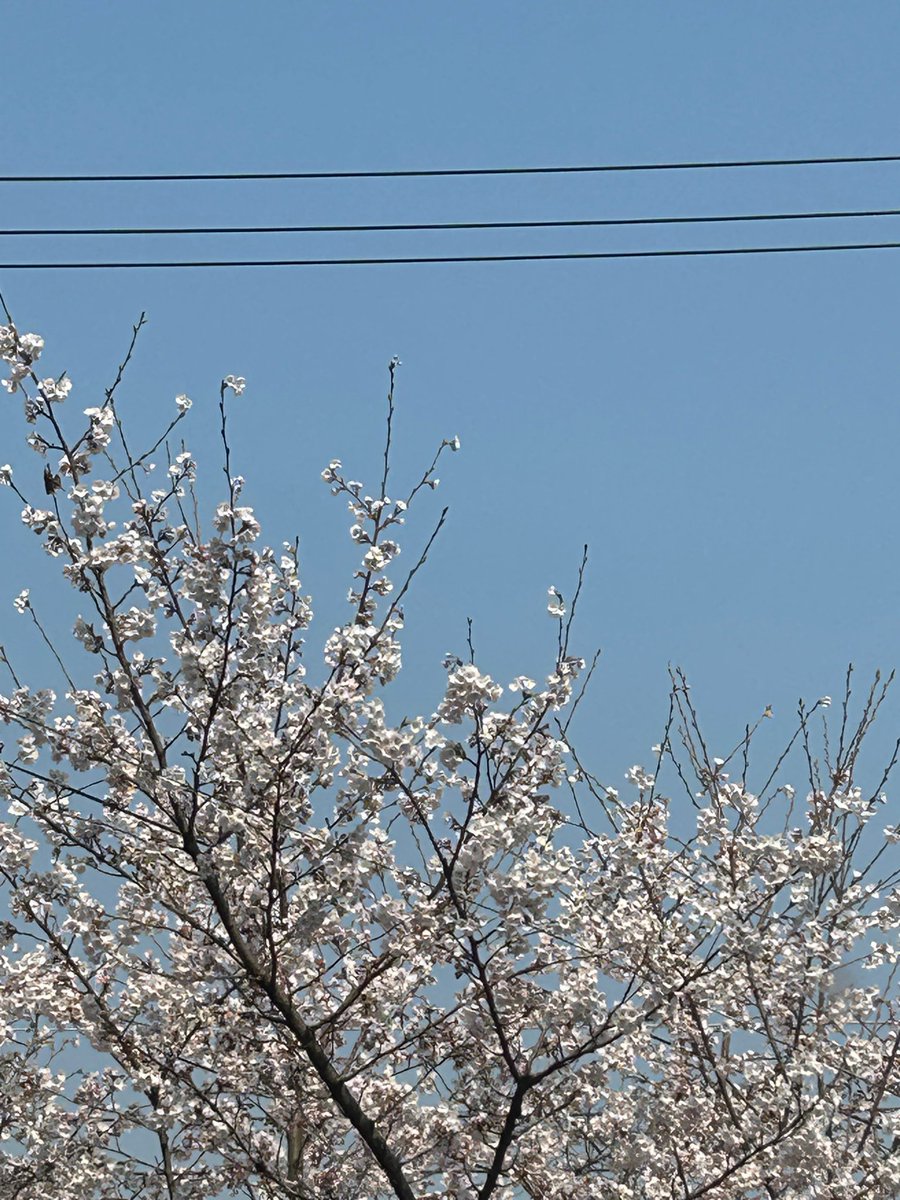 Lizy 리지✨ 쟁프 🐣 Jaeyoon SF9❤️🔥 tweet media