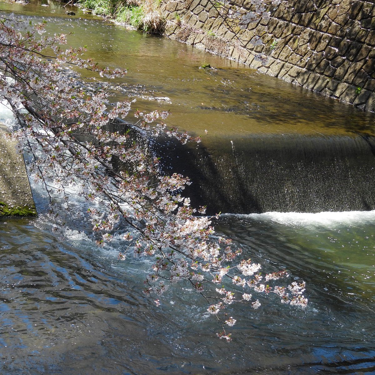 るもちゃん🌈とヒロ tweet media