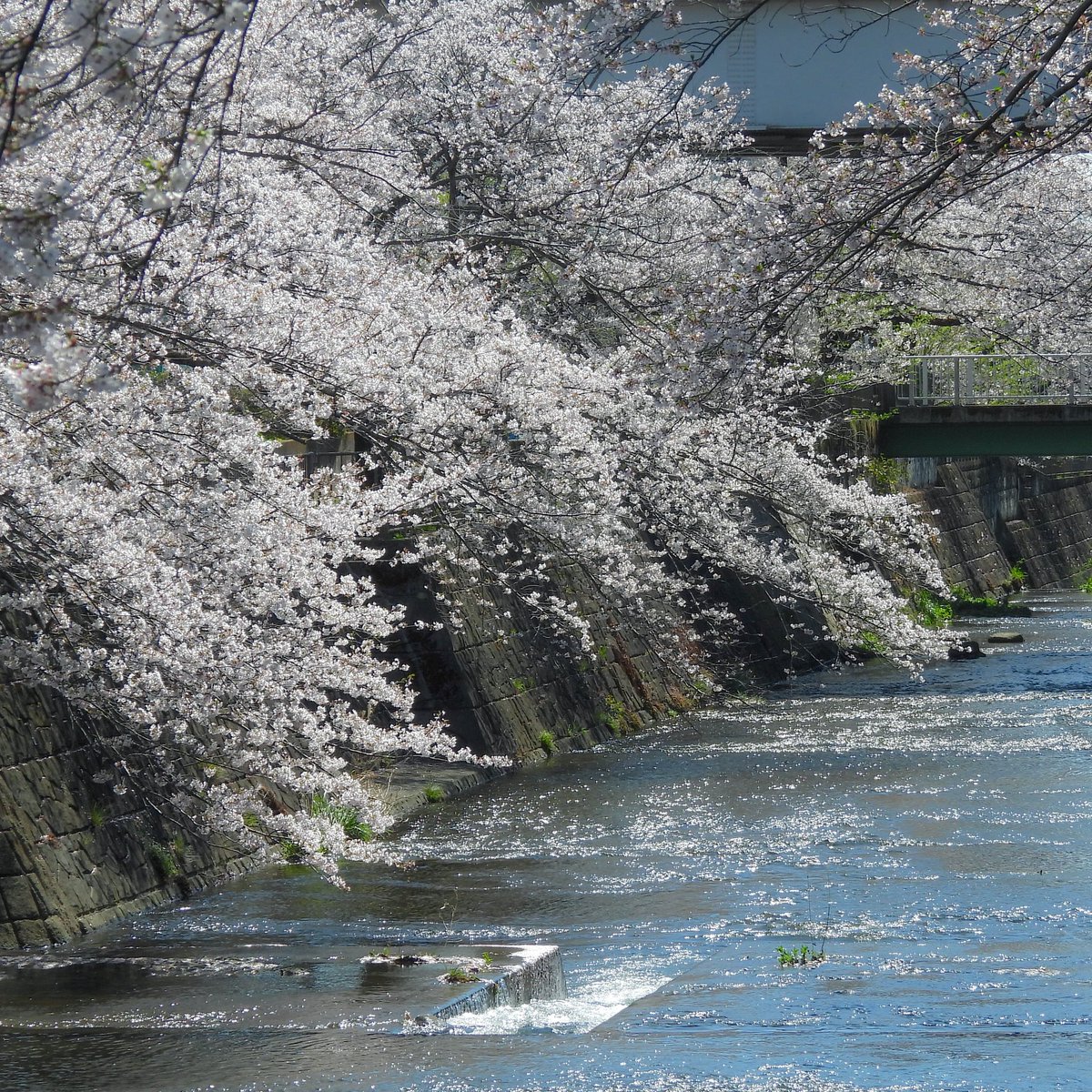 るもちゃん🌈とヒロ tweet media