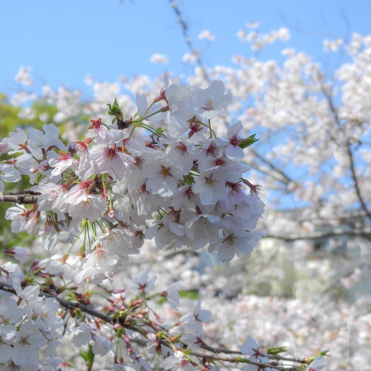 るもちゃん🌈とヒロ tweet media