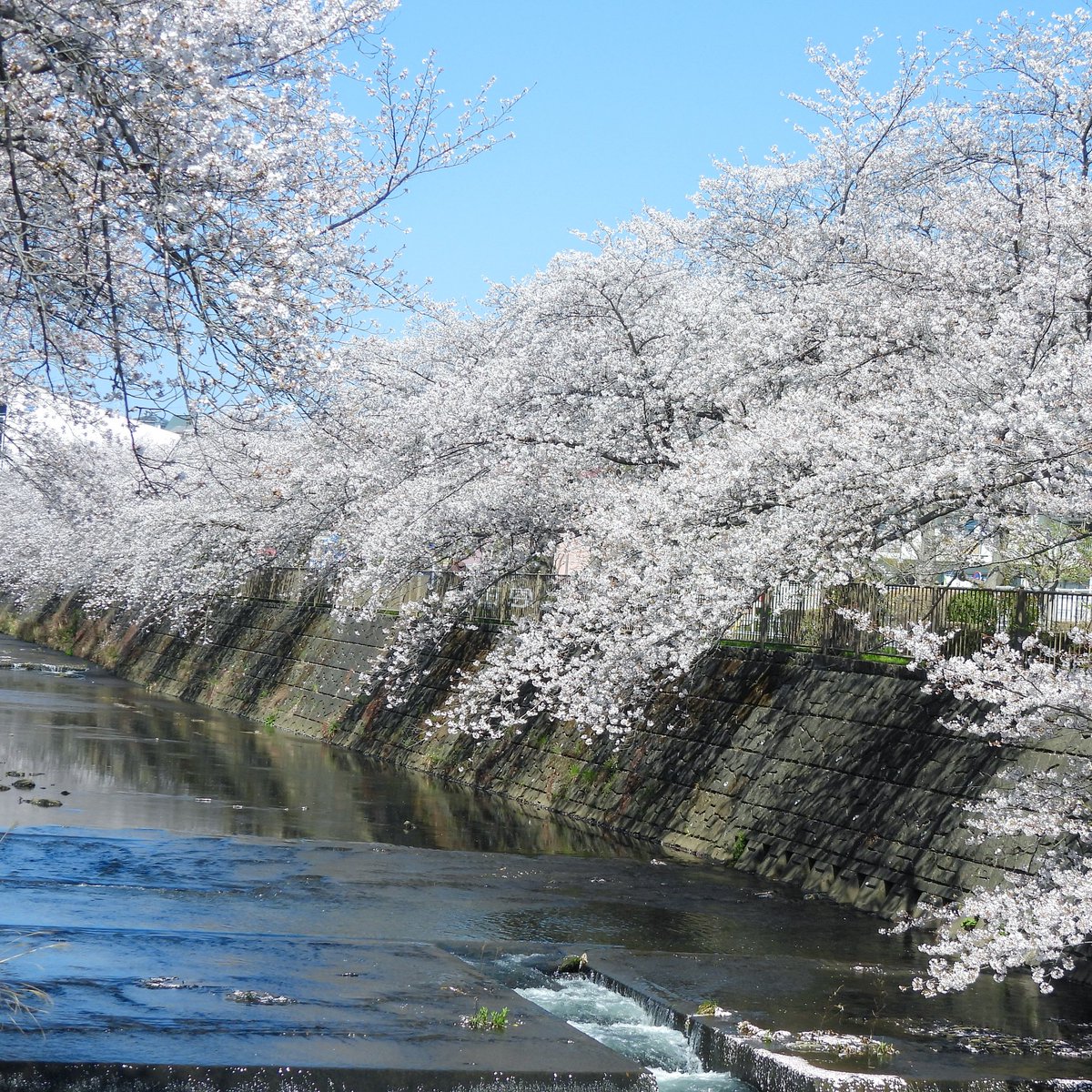るもちゃん🌈とヒロ tweet media
