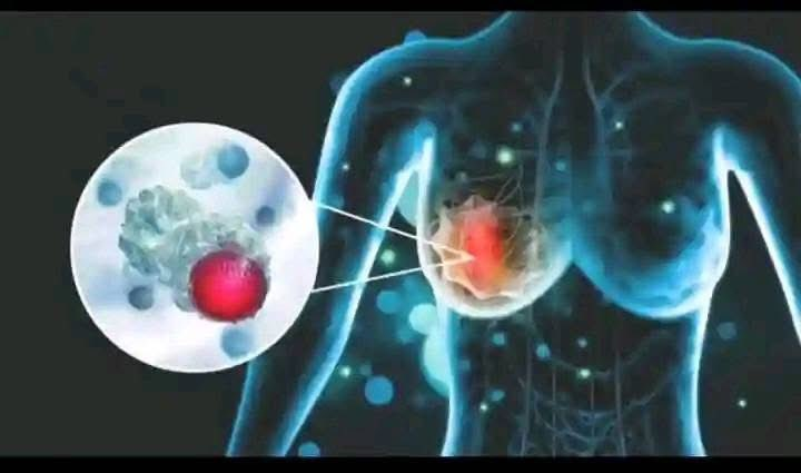 Commentary | Global Ivermectin Research Hub tweet media