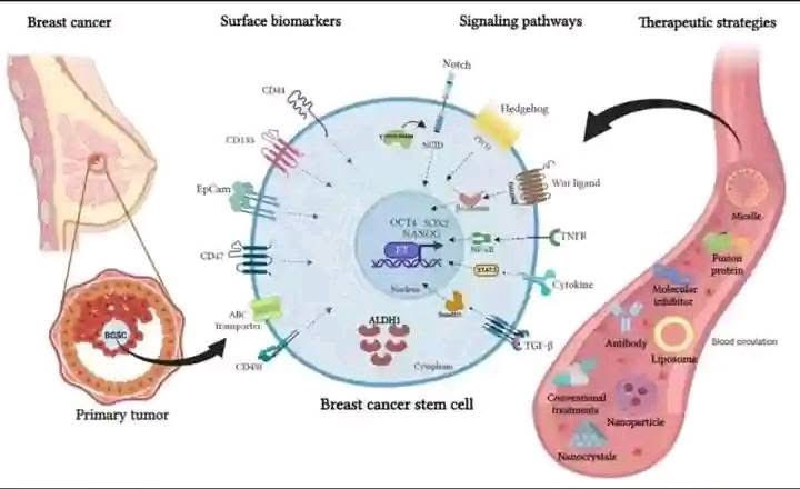 Commentary | Global Ivermectin Research Hub tweet media