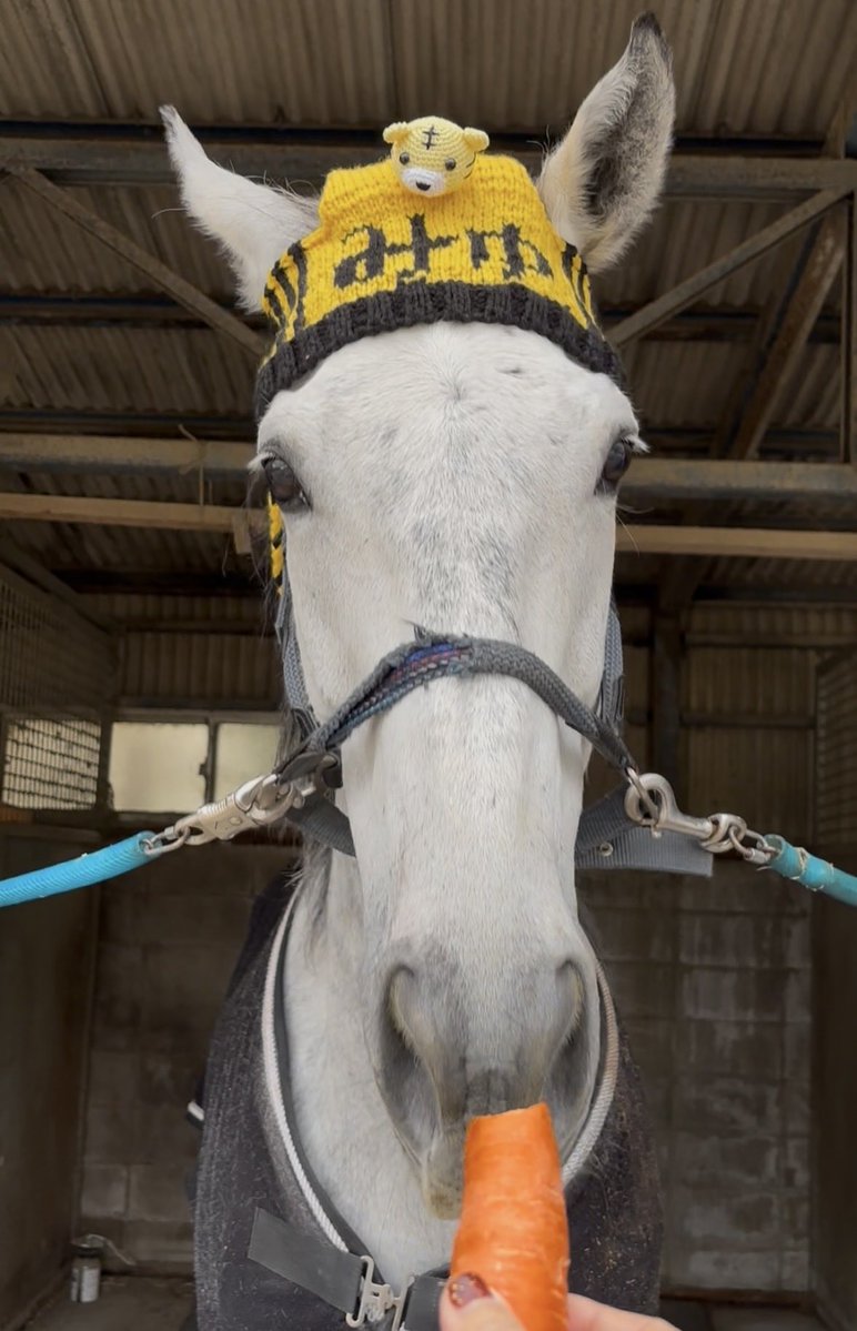 馬と手芸が好き tweet media