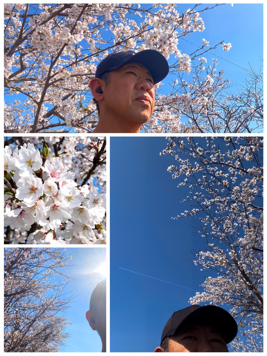 ドンペイ tweet media