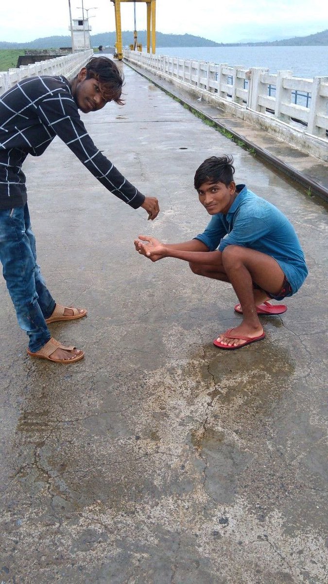 sean abigail tweet media