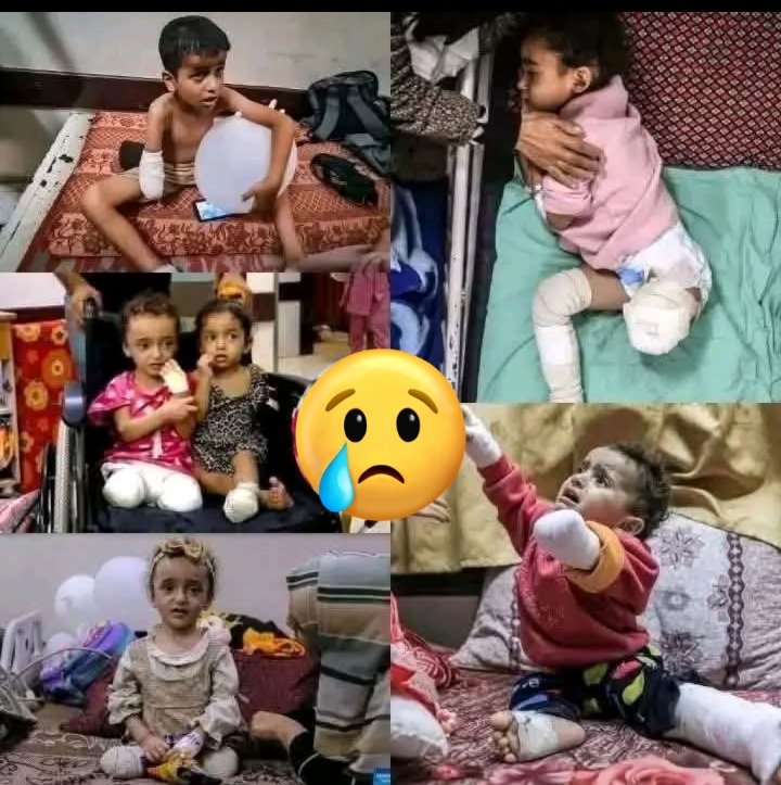 Bri Hernandez tweet media