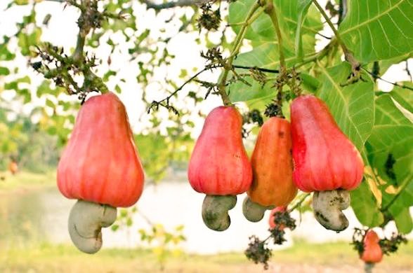 ろーらん tweet media