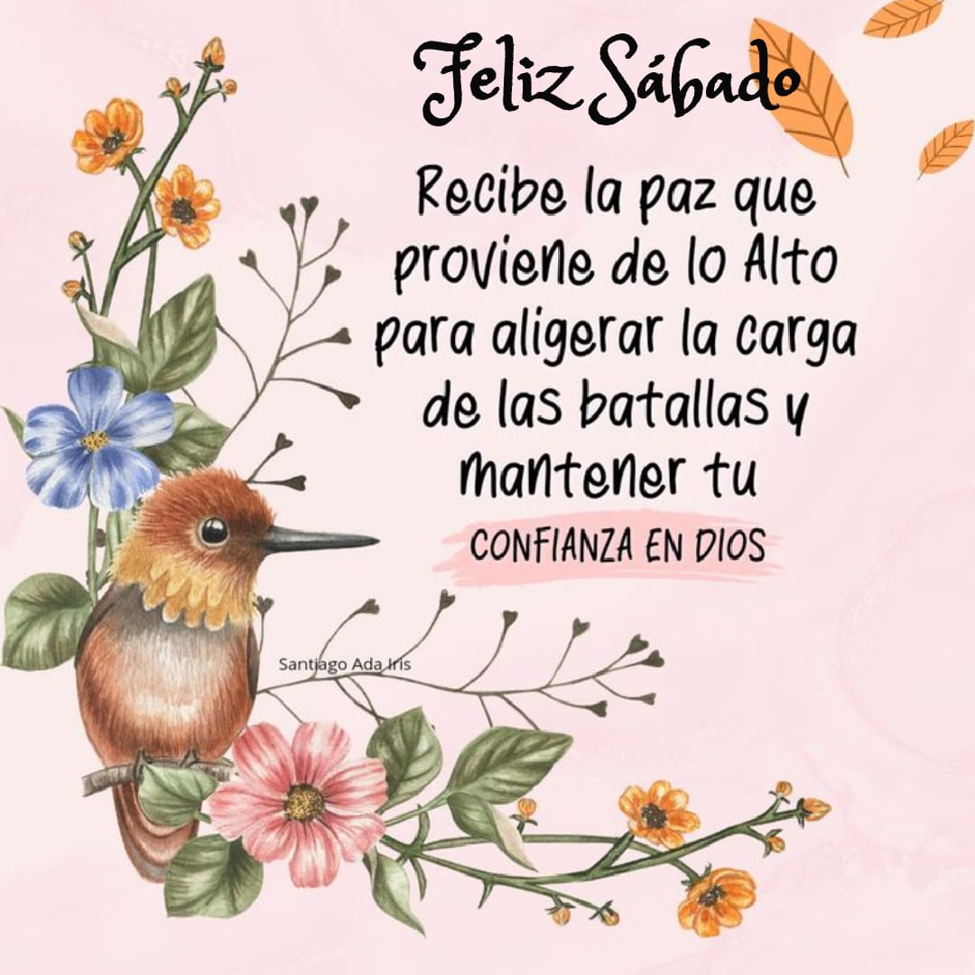 Oración Diaria®™ tweet media