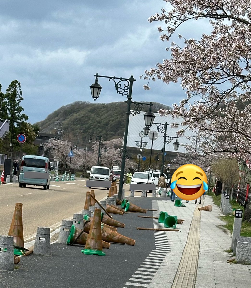 まいかさん🌸 tweet media