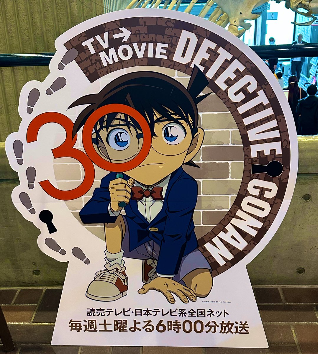 まいかさん🌸 tweet media