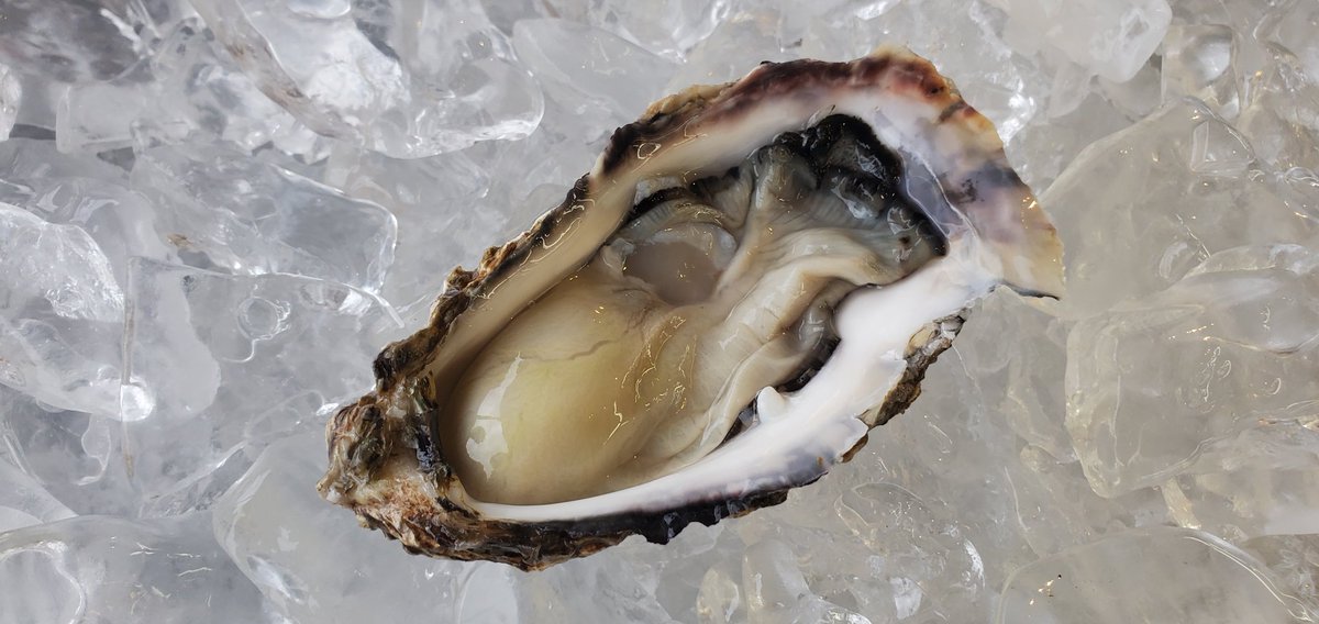 ふぉん@ぴぴぴぴ tweet media