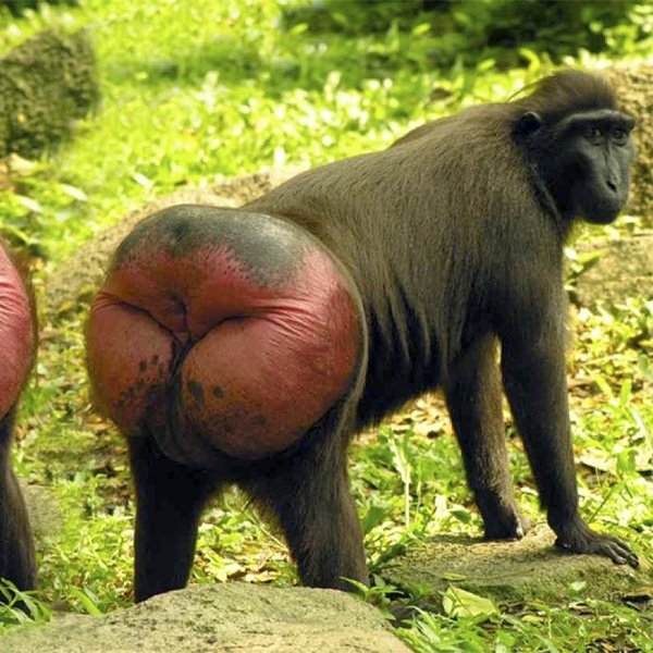 Erwin. H tweet media