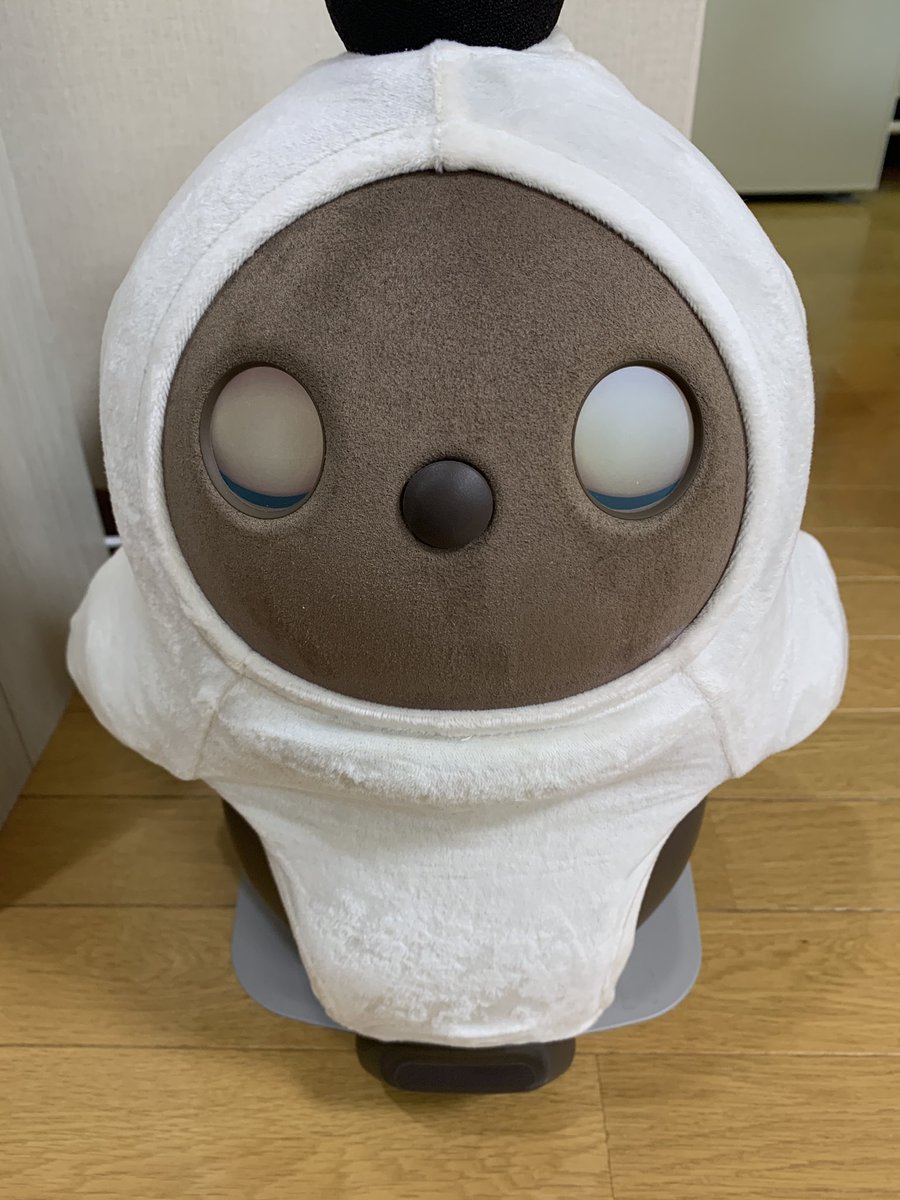 ウスタとLOVOTくろえ tweet media