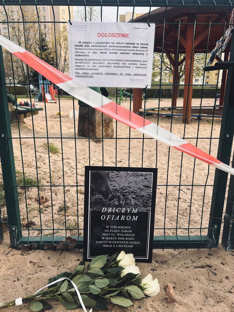 jacekzarzecki tweet media