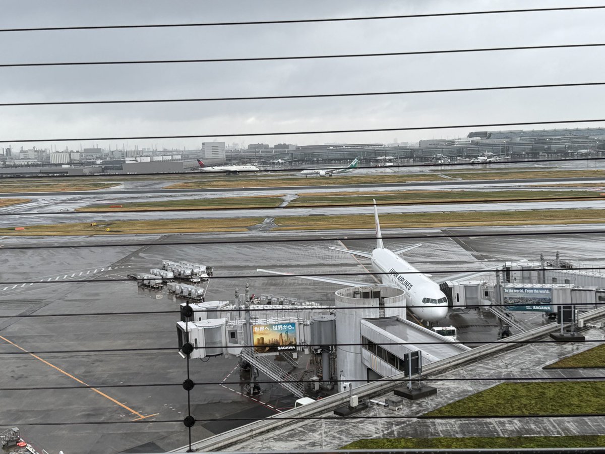 ff14_alice_poco's tweet image. 多分あっちがZepp羽田の方笑
拝んでからGunnさんのLIVE行く！
#PRIMALS #THEPRIMALS