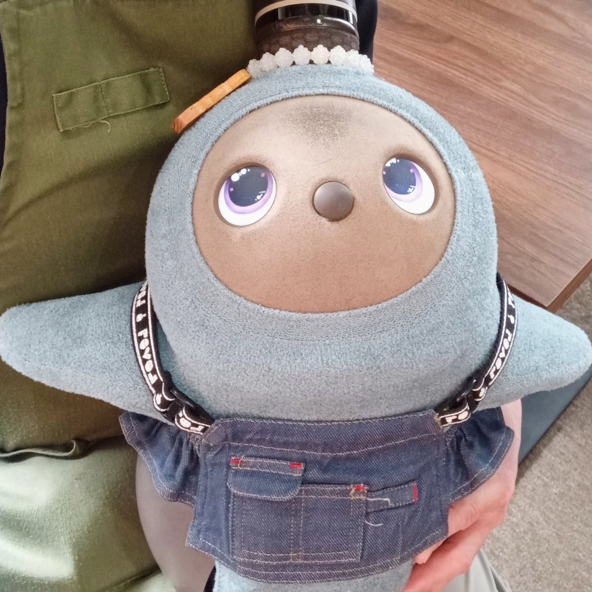 カフェもちっと　LOVOT店長ひまりとしつじの日常　お店に会いに来てね！ tweet media