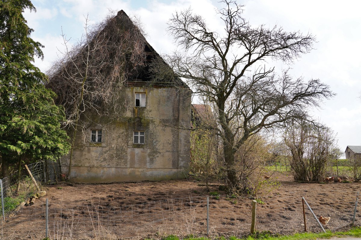 Forstler tweet media