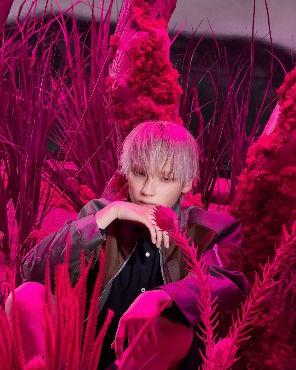 휴플레 tweet media