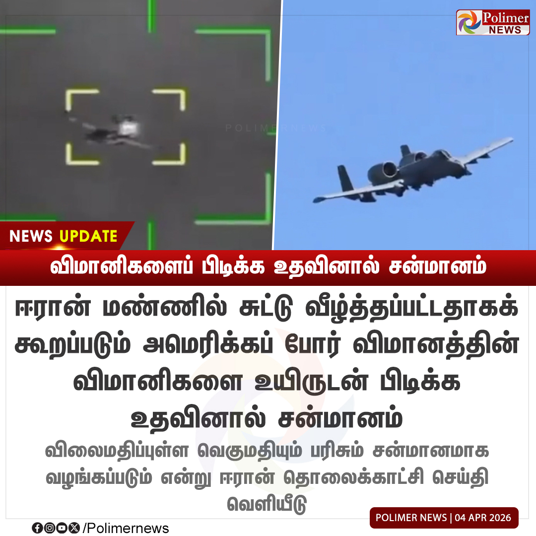 Polimer News tweet media