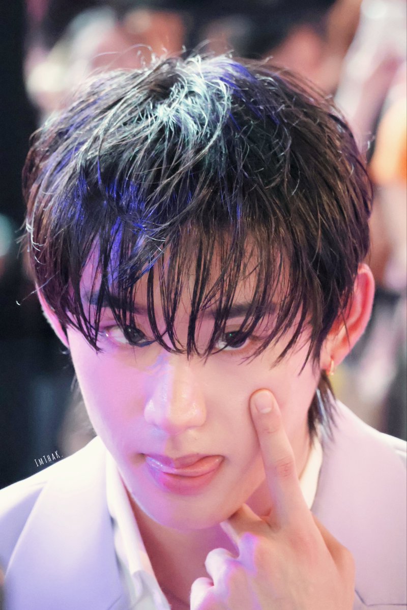 ทักทาย🐶say”Hello” tweet media