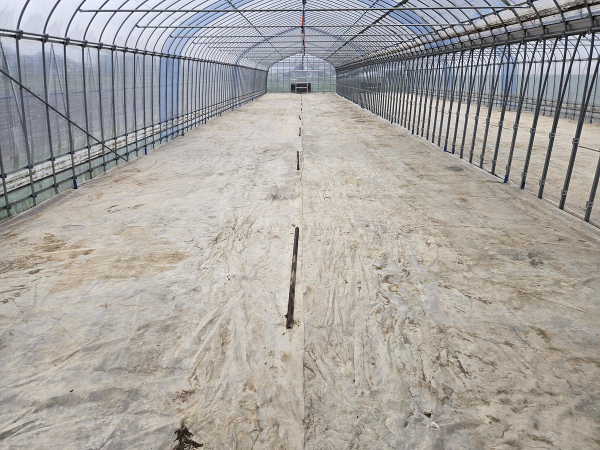 しろえもん tweet media