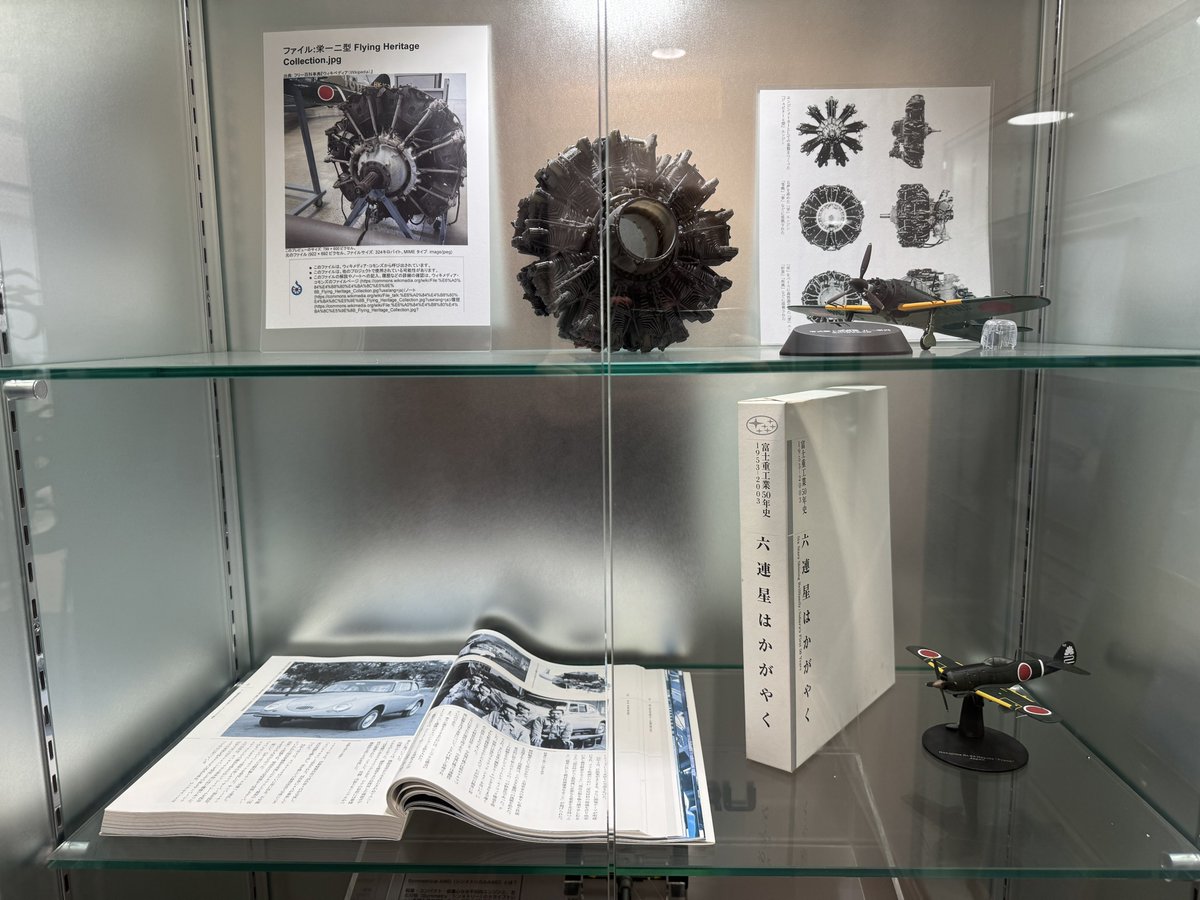 ドンガメ tweet media