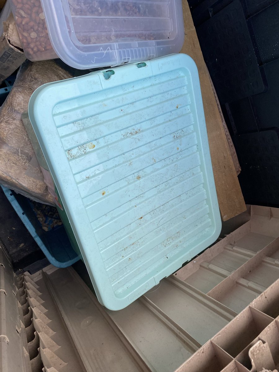 Gary Bradley tweet media