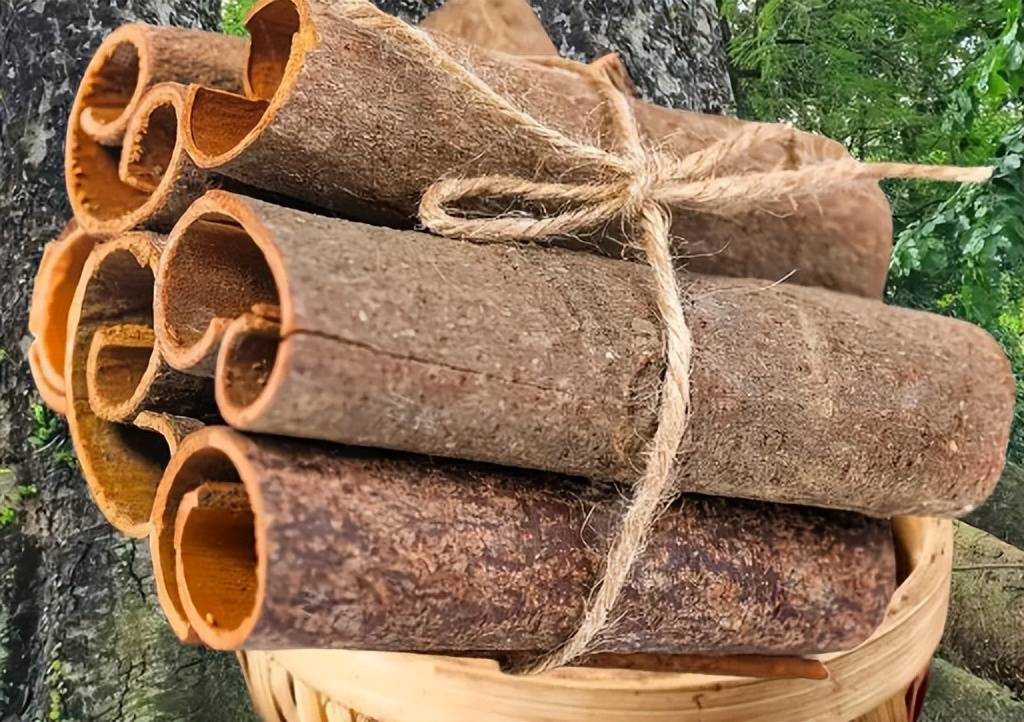 MADHAN KUMAR VELU tweet media