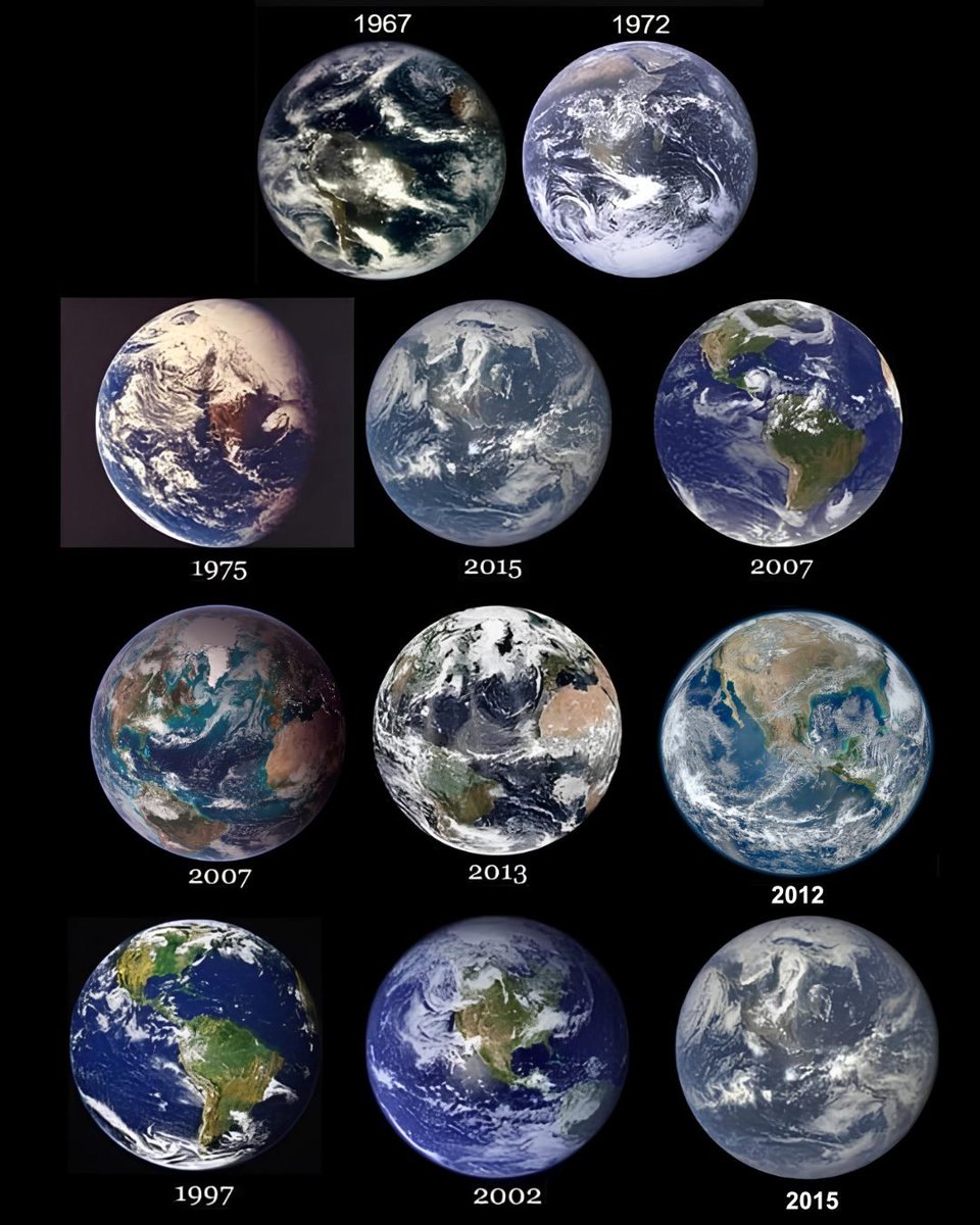 Pelapatate a 432 Hz 🍻🏔🦌🇮🇹 tweet media