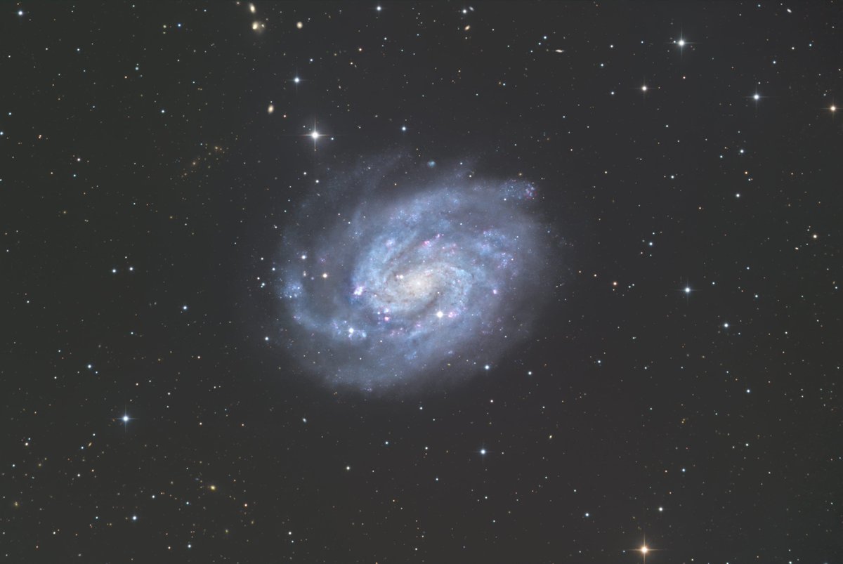 高橋文行 Fumiyuki Takahashi tweet media