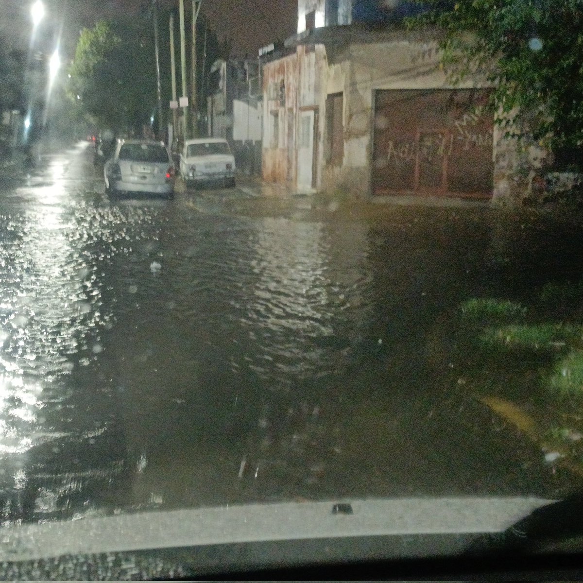 Fernando Carena tweet media